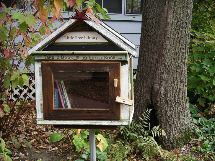 Little Free Library 4