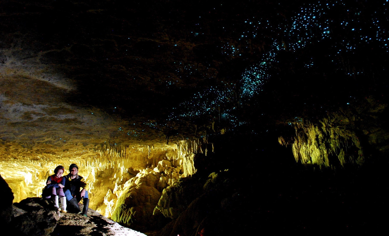 Пещеры светлячков в Новой Зеландии