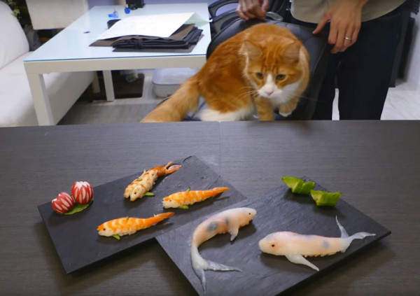sushi-15