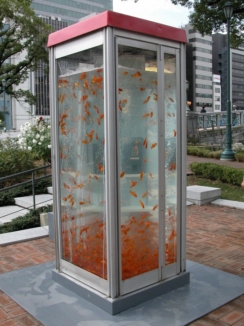  аквариум из телефонной будки