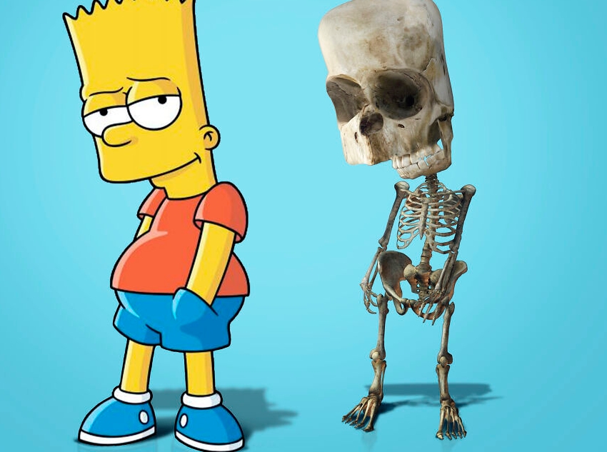 скелет барта симпсона