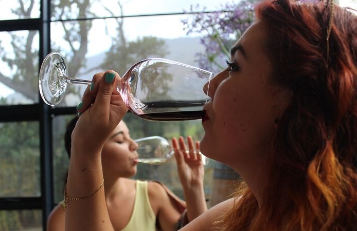 девушки пьют вино