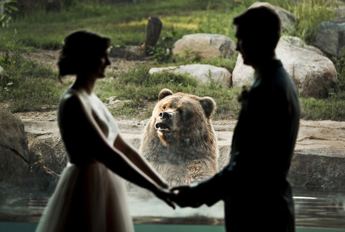 медведь на свадьбе фото