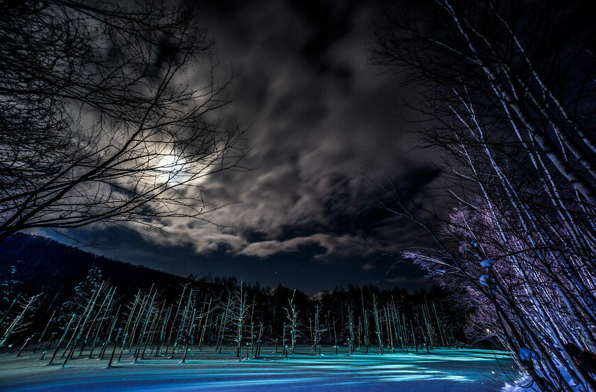 фото ночного леса зимой