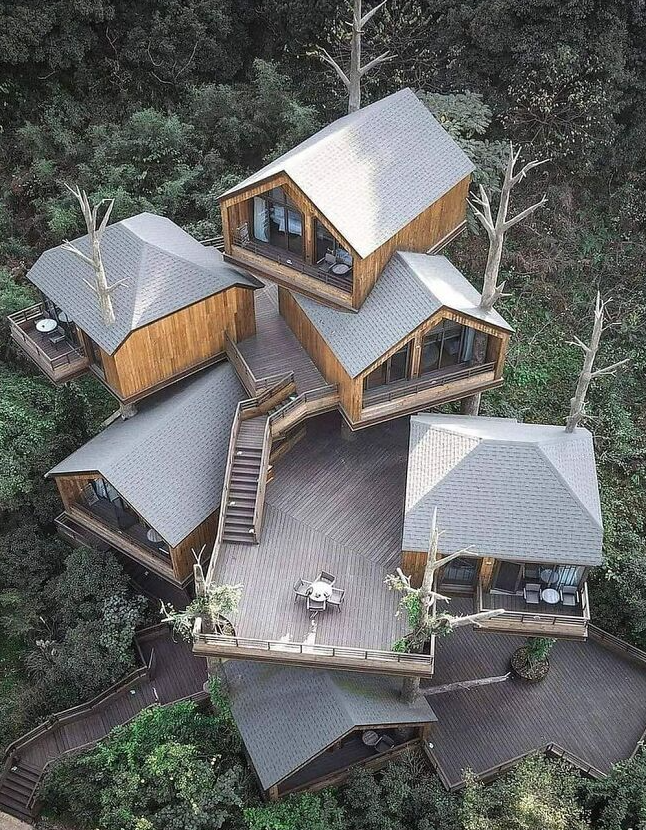 очень необычный дом из дерева